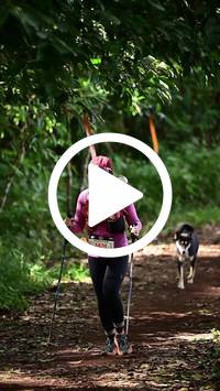 BIB:  <button type="button" onclick="openModal(27515111)" class="btn btn-primary btn-sm float-right" data-toggle="modal" data-target=".modal-high-quality">
                <i class="fa fa-download"></i> Download
                </button>